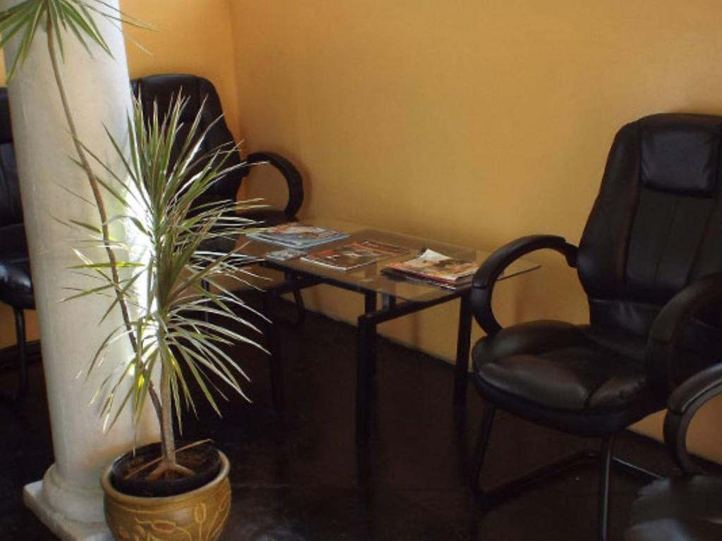 Tropical Court Inn New קינגסטון מראה חיצוני תמונה
